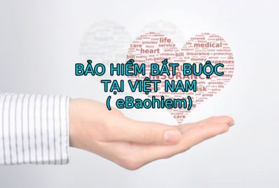 Các loại bảo hiểm bắt buộc tại Việt Nam