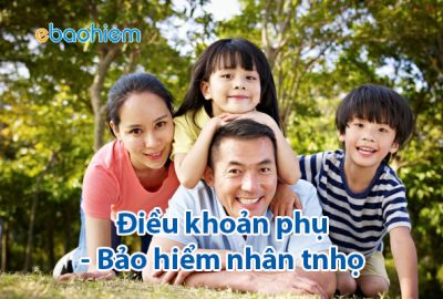 Các Điều khoản bổ trợ nhân thọ phổ biến ở Việt Nam