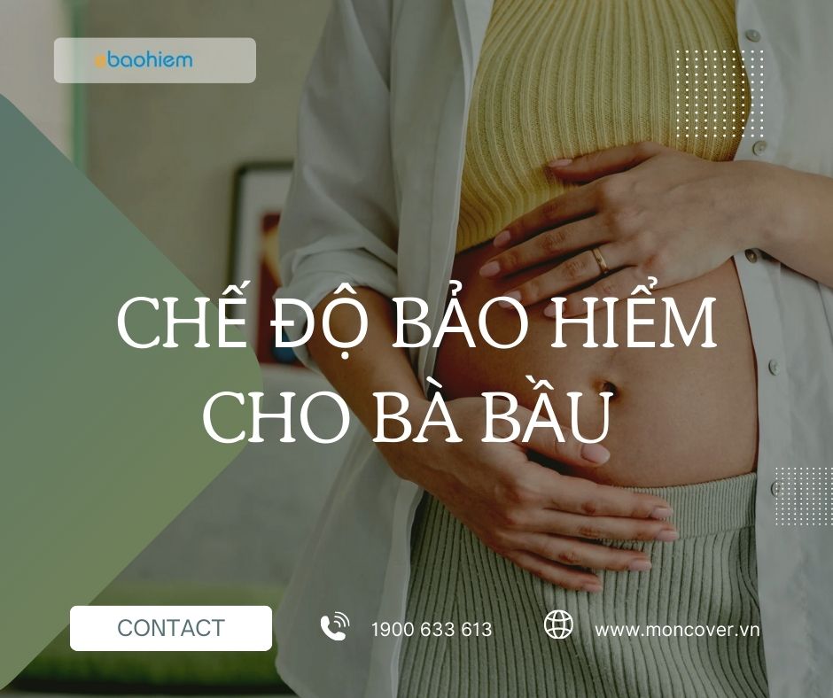 Chế độ bảo hiểm cho bà bầu