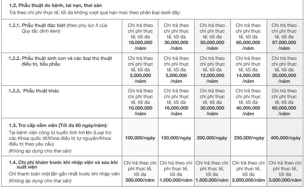 Bảo Việt Tâm Bình