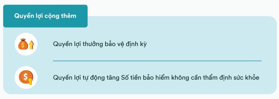 fwd bảo vệ gia tăng