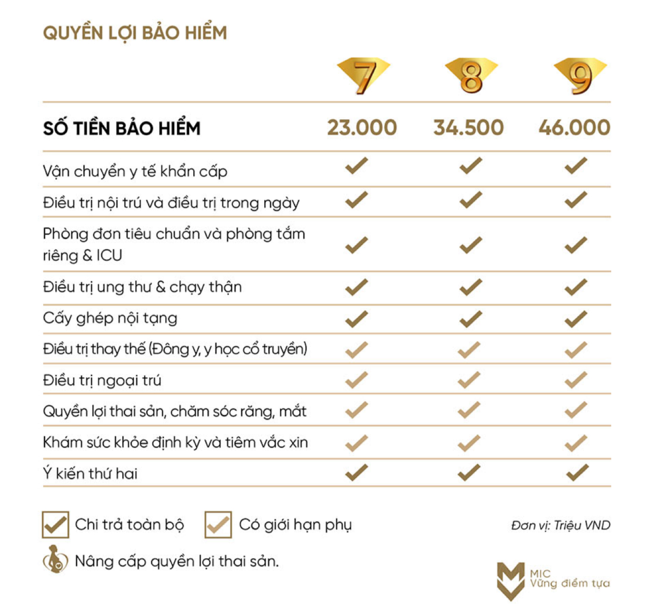 Mic global care