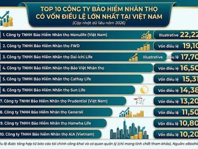 Top 10 công ty bảo hiểm nhân thọ có vốn điều lệ lớn nhất tại Việt Nam