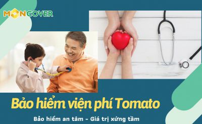 Câu hỏi thường gặp về bảo hiểm Tomato