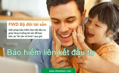 FWD Bộ đôi tài sản Bảo hiểm đầu tư