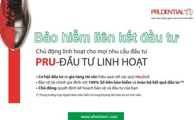 Pru đầu tư linh hoạt - Prudential Bảo vệ ước mơ của bạn