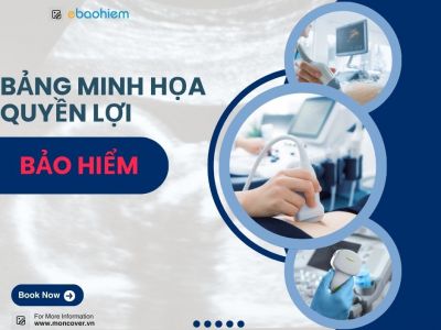 Bảng minh họa quyền lợi bảo hiểm
