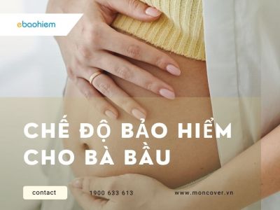 Chế độ bảo hiểm cho bà bầu